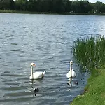Nocleg ze śniadaniem Neptun 3*
