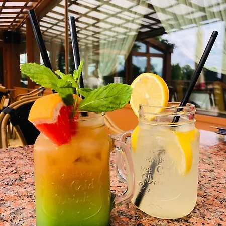 Neptun Frühstückspension Miedzychod