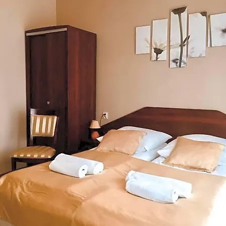 Neptun Bed and breakfast Miedzychod