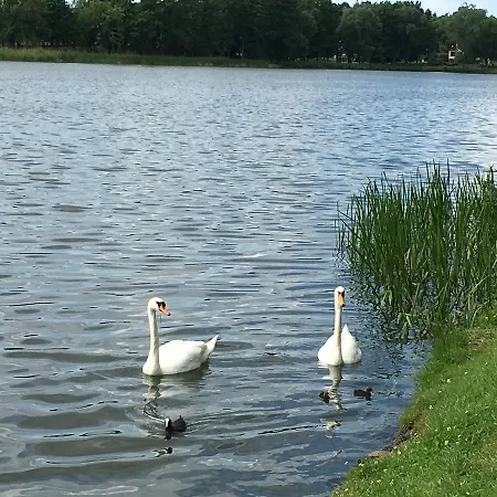 Frühstückspension Neptun 3*