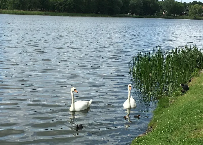 Bed & Breakfast Neptun 3*