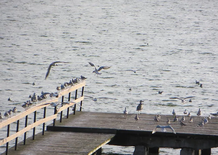 Neptun Bed & Breakfast 3*